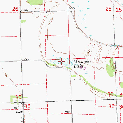 Topographic Map of Michaels Lake, NE