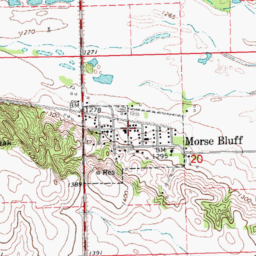 Topographic Map of Morse Bluff, NE