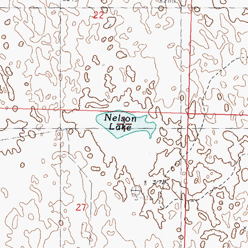 Topographic Map of Nelson Lake, NE