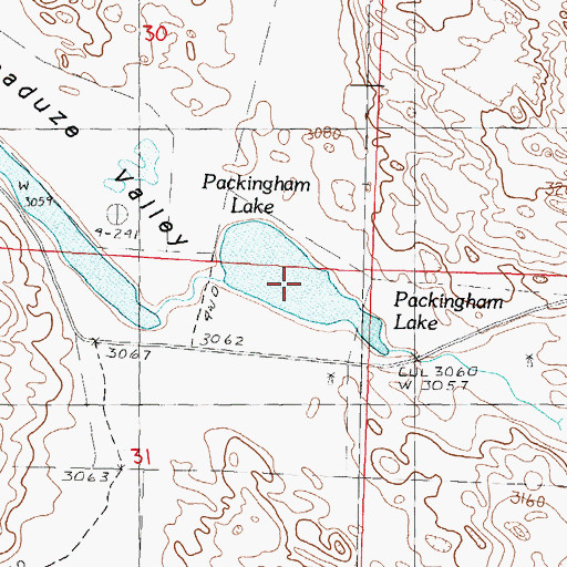 Topographic Map of Packingham Lake, NE