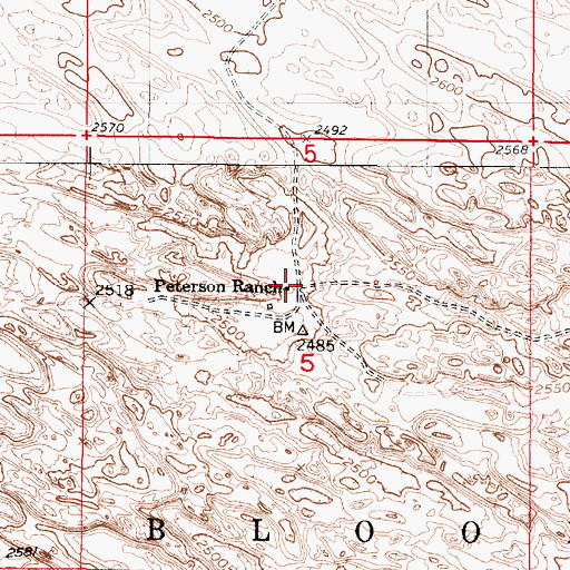 Topographic Map of Peterson Ranch, NE