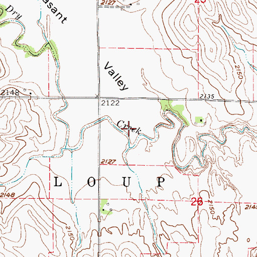Topographic Map of Pleasant Valley, NE