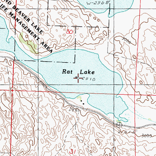 Topographic Map of Rat Lake, NE