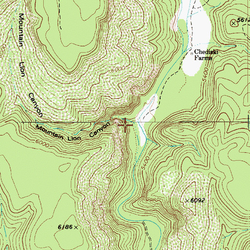 Topographic Map of Mountain Lion Canyon, AZ