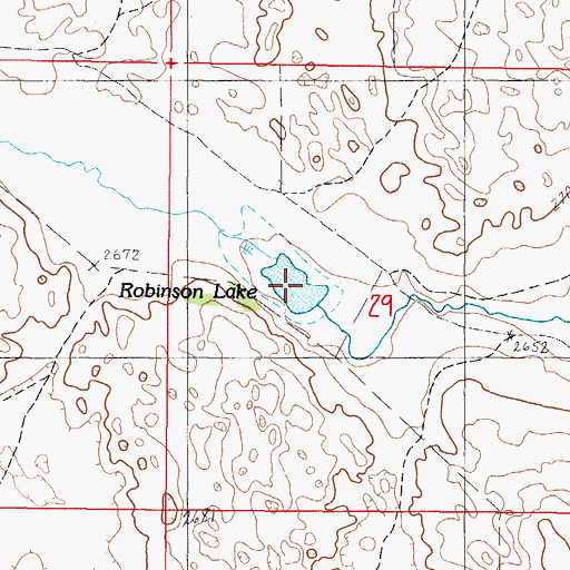 Topographic Map of Robinson Lake, NE