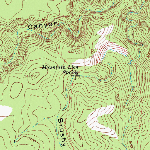 Topographic Map of Mountain Lion Spring, AZ