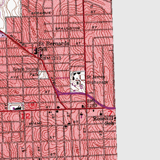 Topographic Map of Saint James Orphanage, NE