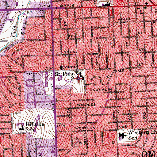 Topographic Map of Saint Pius X / Saint Leo School, NE