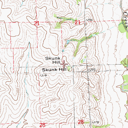 Topographic Map of Skunk Hill, NE