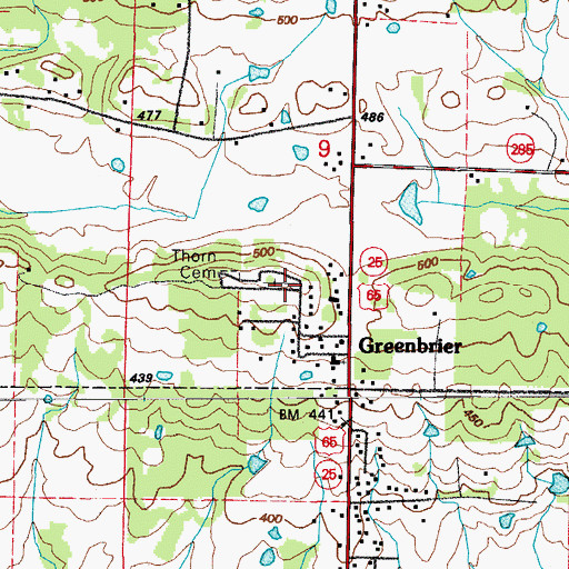 Topographic Map of Thorn Cemetery, AR