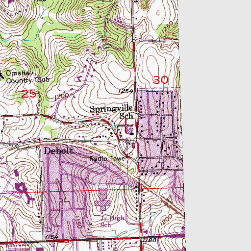 Topographic Map of Springville Elementary School, NE