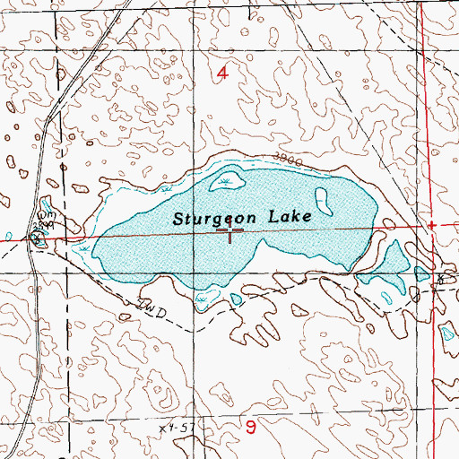 Topographic Map of Sturgeon Lake, NE