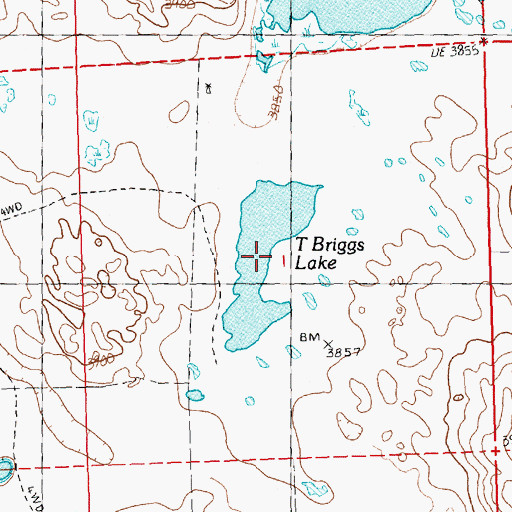 Topographic Map of T Briggs Lake, NE