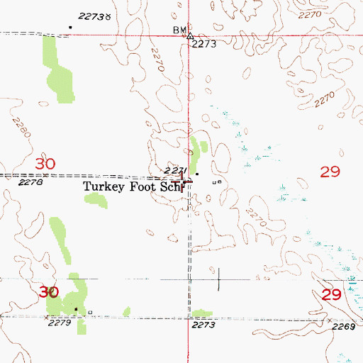 Topographic Map of Turkey Foot School, NE