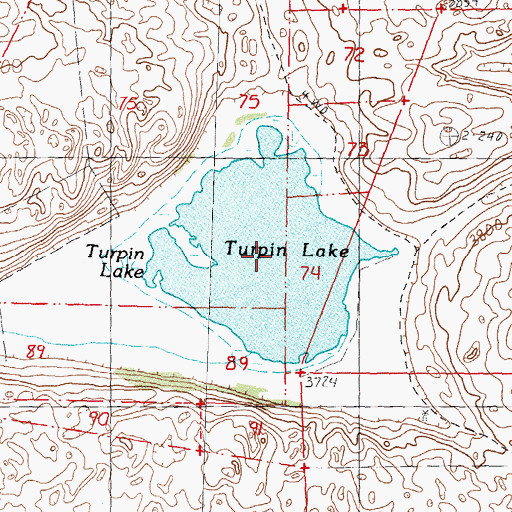 Topographic Map of Turpin Lake, NE