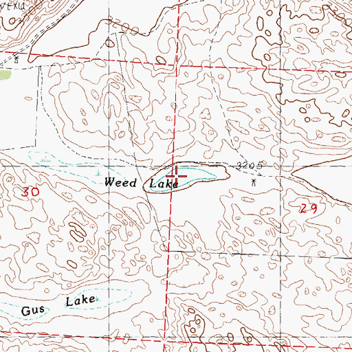 Topographic Map of Weed Lake, NE