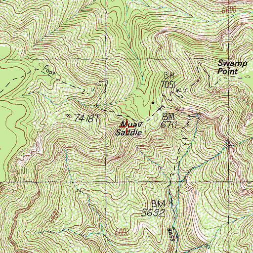 Topographic Map of Muav Saddle, AZ