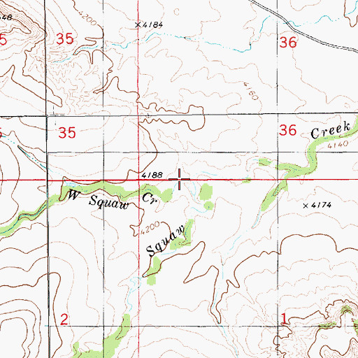Topographic Map of West Squaw Creek, NE