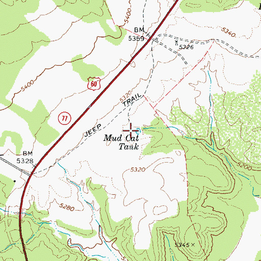 Topographic Map of Mud Cat Tank, AZ