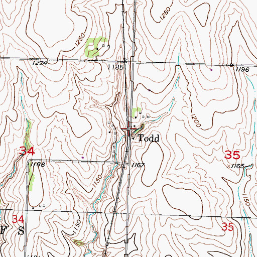 Topographic Map of Todd, NE