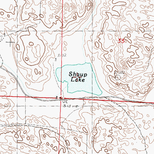 Topographic Map of Shaup Lake, NE