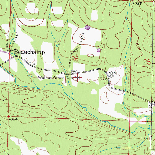 Topographic Map of Walnut Grove Cemetery, AR