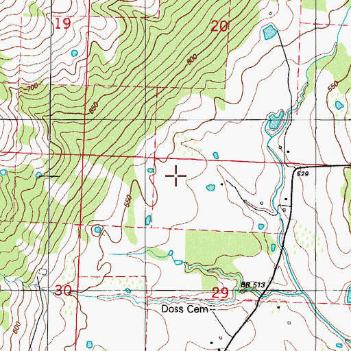 Topographic Map of Worth James Ranch Airport (historical), AR