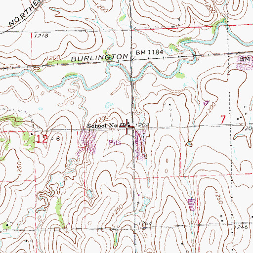 Topographic Map of Haines Branch Public School, NE