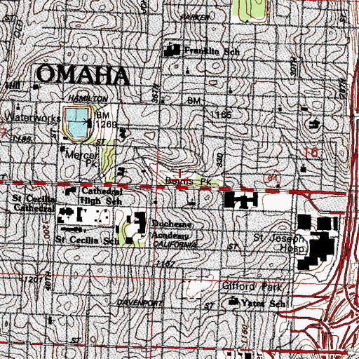 Topographic Map of Bemis Park, NE
