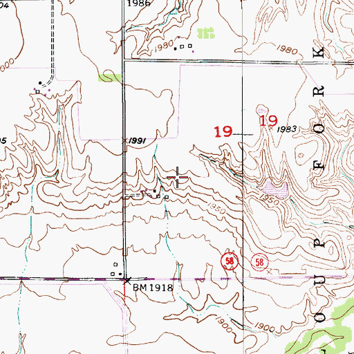 Topographic Map of Nelson Airport, NE