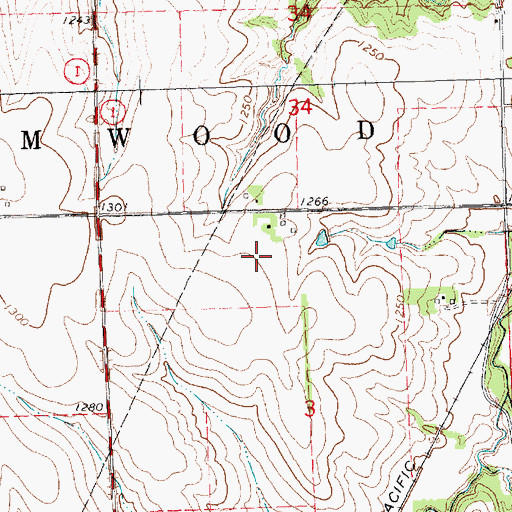 Topographic Map of Bornemeier Airstrip, NE