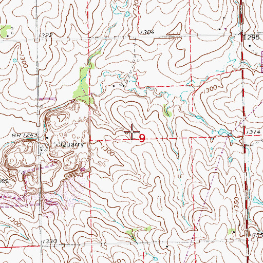 Topographic Map of Weaver Airport (historical), NE