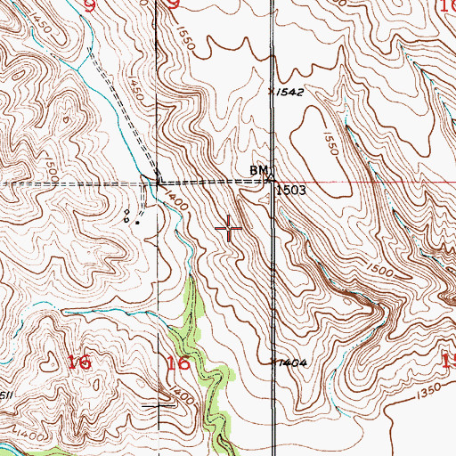 Topographic Map of Township of Bush, NE