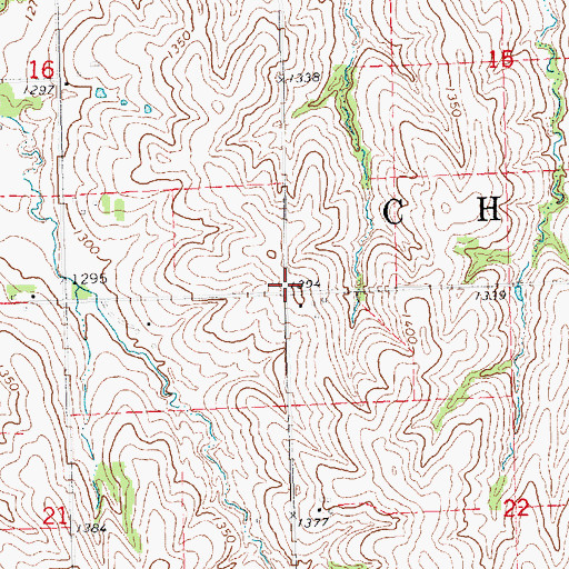 Topographic Map of Township of Chapman, NE