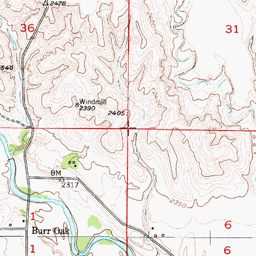 Topographic Map of Township of Loup, NE