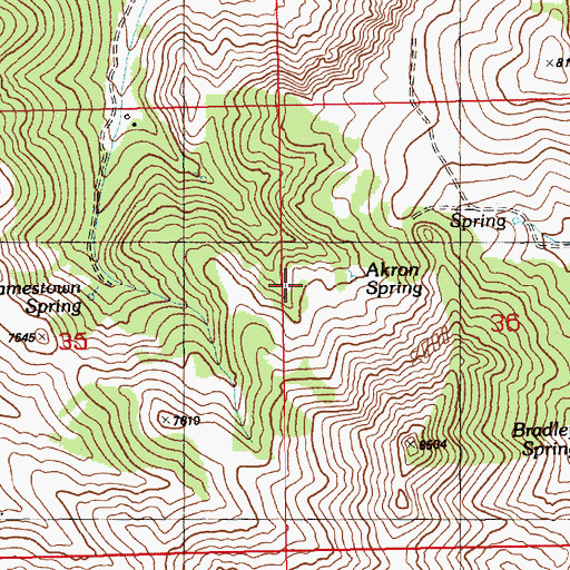 Topographic Map of Akron Spring, NV