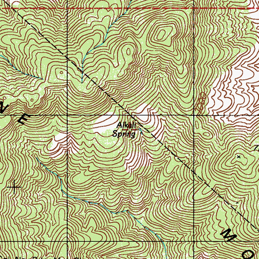 Topographic Map of Alkali Spring, NV