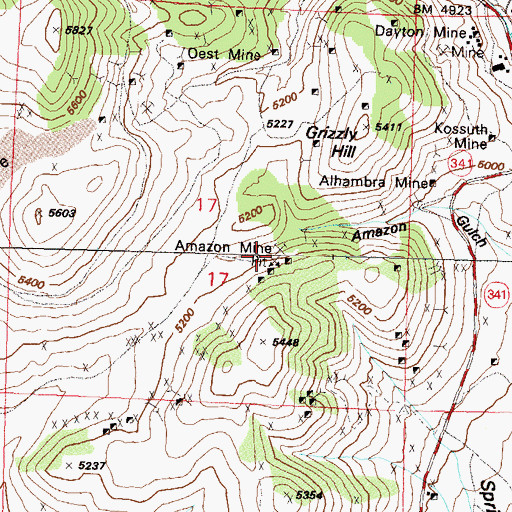 Topographic Map of Amazon Mine, NV