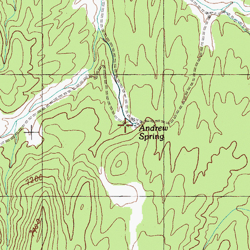 Topographic Map of Andrew Spring, NV