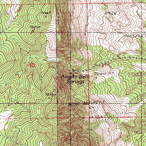 Topographic Map of Angelo Belli Cabin, NV