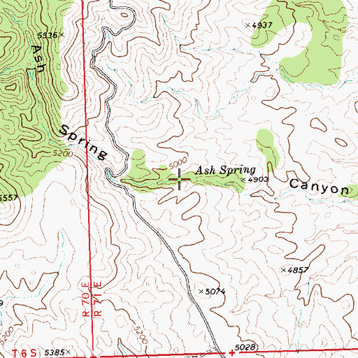 Topographic Map of Ash Spring, NV