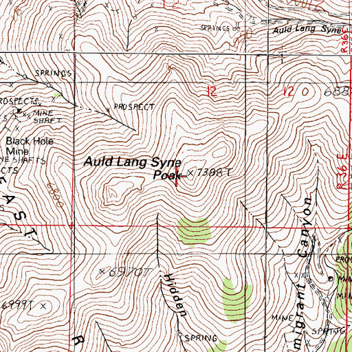 Topographic Map of Auld Lang Syne Peak, NV