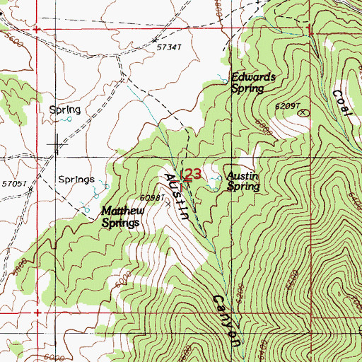 Topographic Map of Austin Spring, NV