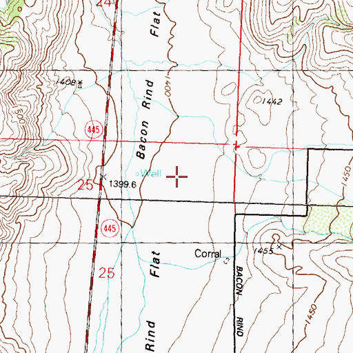 Topographic Map of Bacon Rind Flat, NV