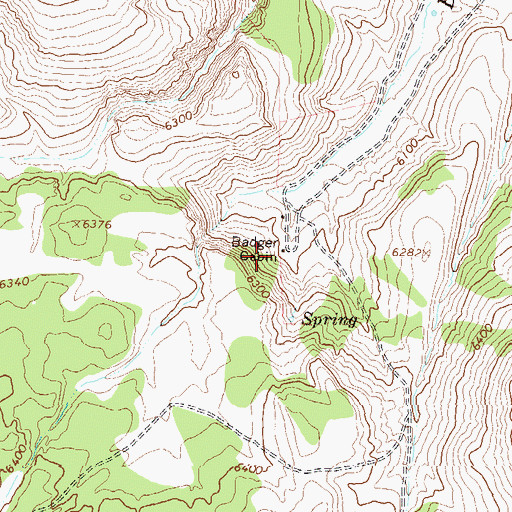 Topographic Map of Badger Cabin, NV