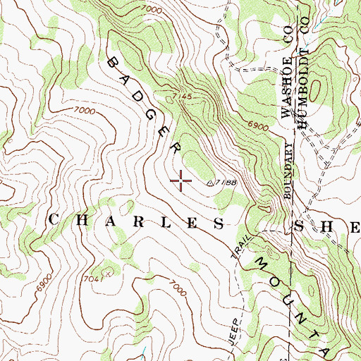 Topographic Map of Badger Mountain, NV