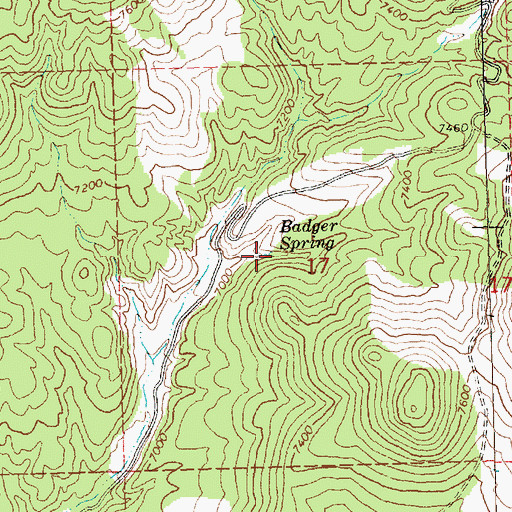Topographic Map of Badger Spring, NV