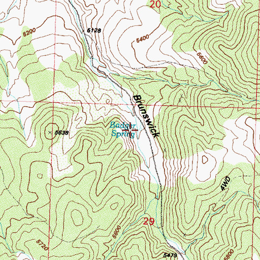 Topographic Map of Badger Spring, NV