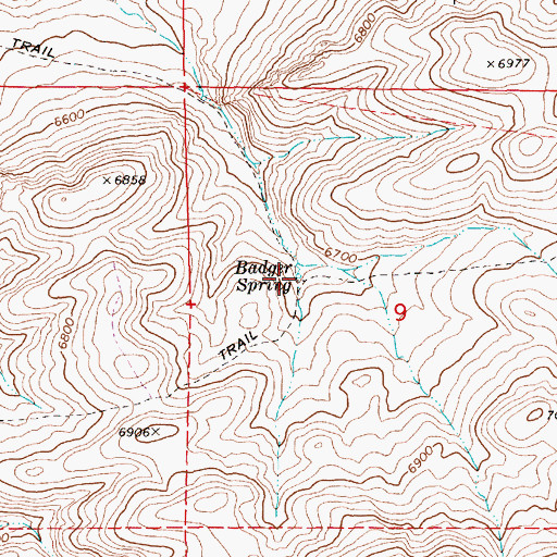 Topographic Map of Badger Spring, NV