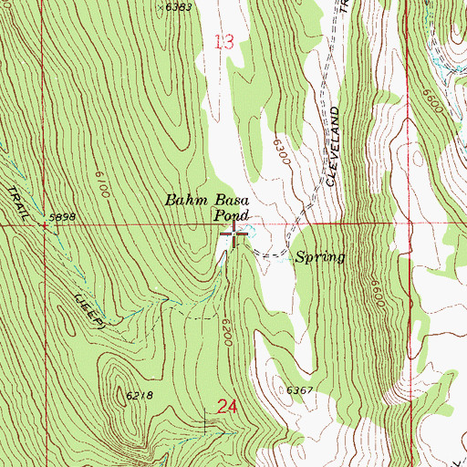 Topographic Map of Bahm Basa Pond, NV
